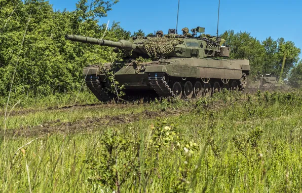 Picture nature, tank, Leopard 2A6