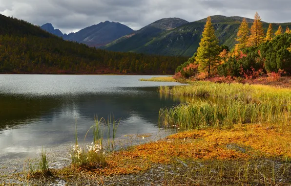 Autumn, grass, trees, landscape, mountains, nature, lake, forest