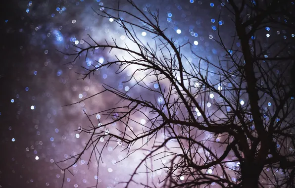 Picture the sky, stars, night, branches, tree, bokeh