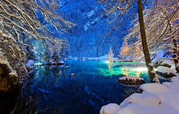 Winter, forest, snow, trees, branches, lights, lake, blue