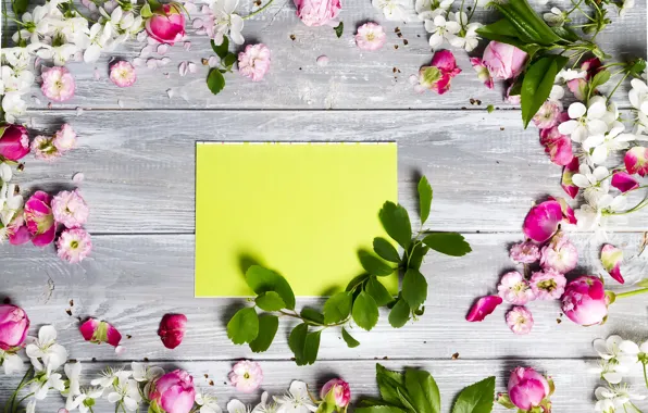 Leaves, flowers, roses, spring, a sheet of paper