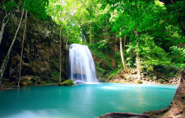 Greens, water, trees, nature, pond, waterfall, stream