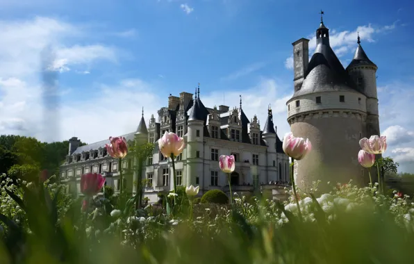 Grass, clouds, light, landscape, flowers, blue, castle, tower