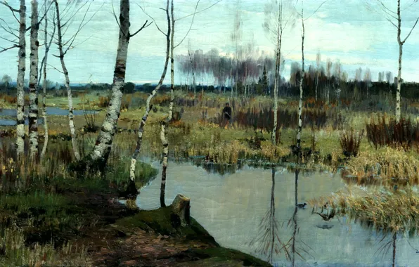 The sky, water, trees, bird, people, swamp, duck, picture