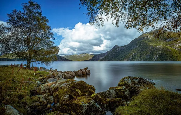 Mountains, lake, stones, tree, Norway, Norway, Rogaland, Rogaland