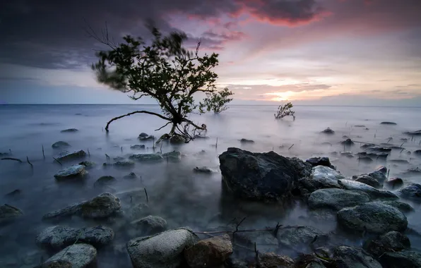 Sea, landscape, night, shore