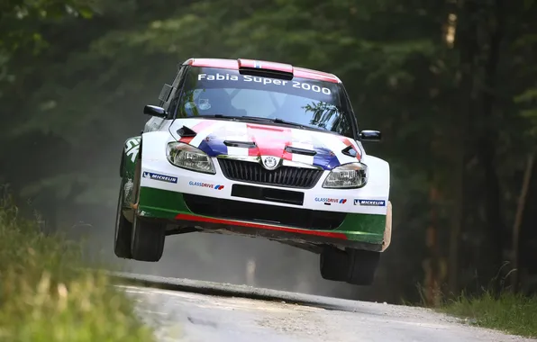 Picture Sport, The hood, Lights, Rally, Rally, The front, Skoda, Fabia