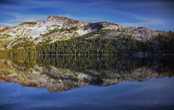 Forest, the sky, water, mountains, reflection