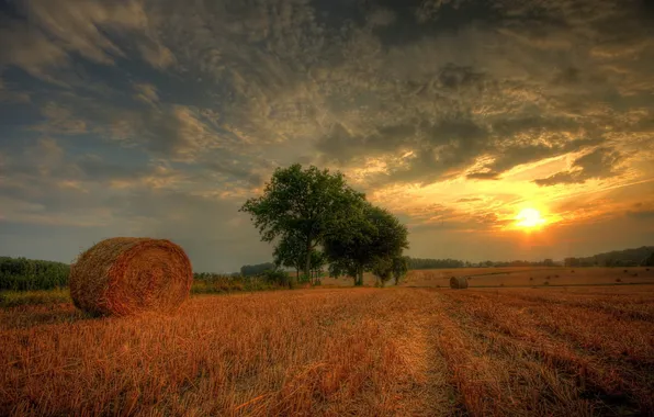 Field, clouds, trees, sunset, hay