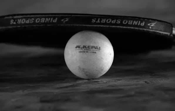 Ball, monochrome, palette
