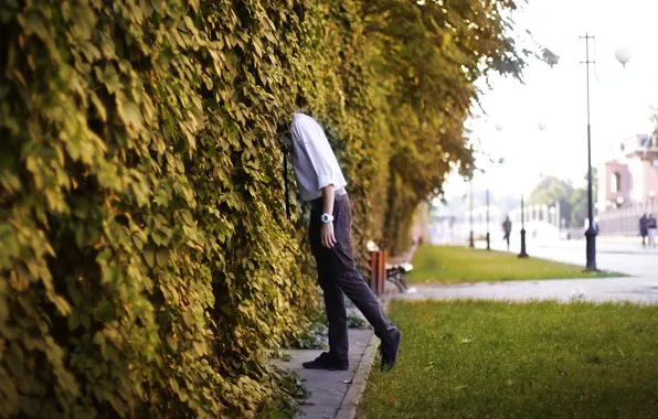 Street, guy, wild grapes