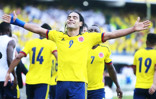 Happiness, football, player, goal, football, goal, glory, Colombia