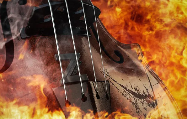 Violin, 2014