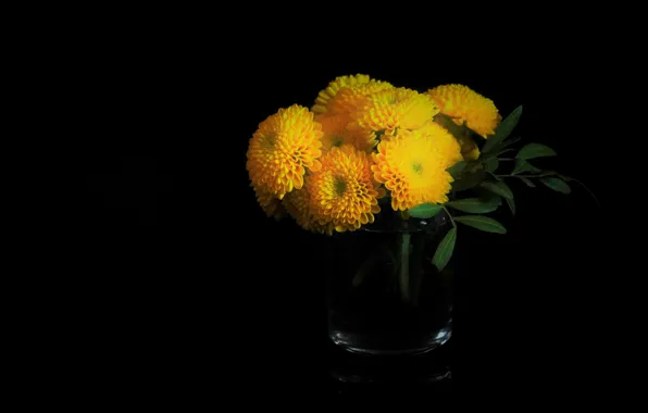 Flowers, glass, bouquet, yellow, black background, chrysanthemum