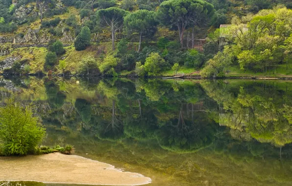 Greens, trees, river, island, home, braid