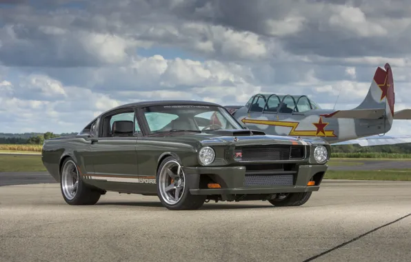 Mustang, dark, ford, with, clear, brushed, recoil, ringbrothers