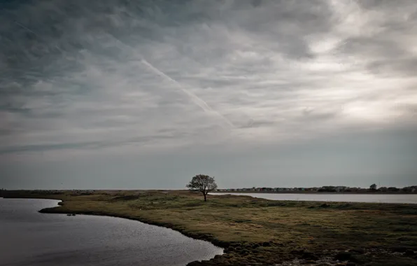 Picture grass, clouds, light, trees, lake, home, light, grass