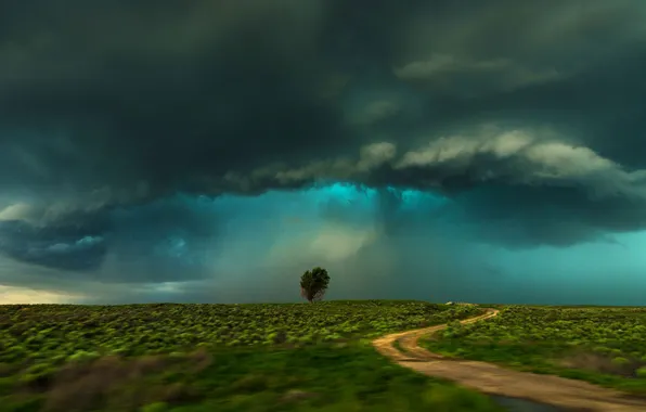 Field, clouds, tree, storm, Colorado, USA, Lamar