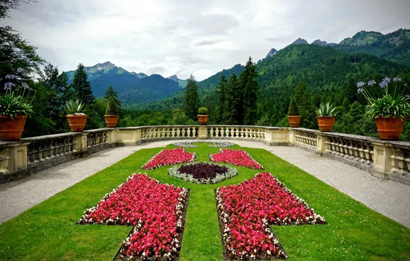 Picture forest, clouds, trees, flowers, mountains, nature, lawn, plant