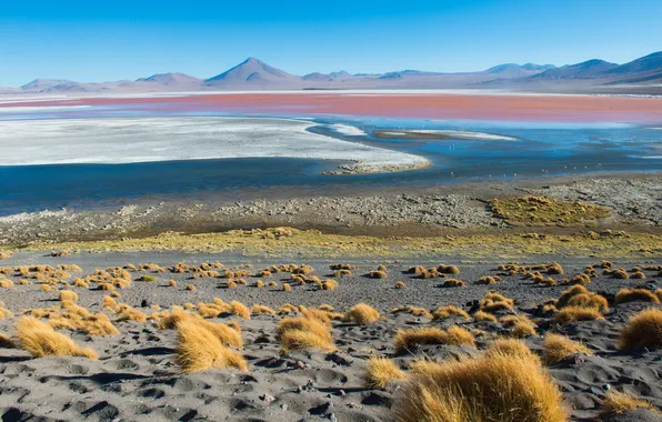 Landscape, nature, the steppe