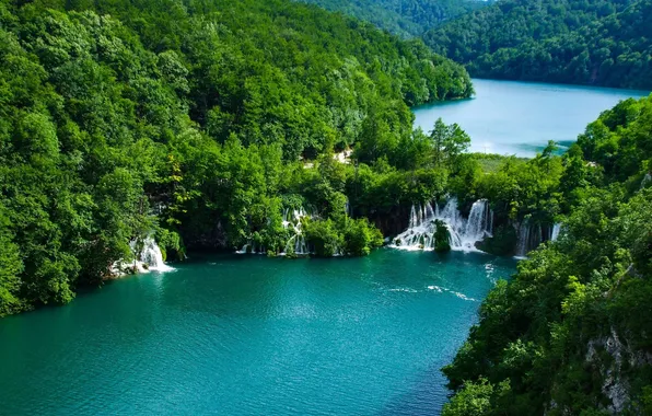 River, trees, park, lakes, national, croatia, plitvice