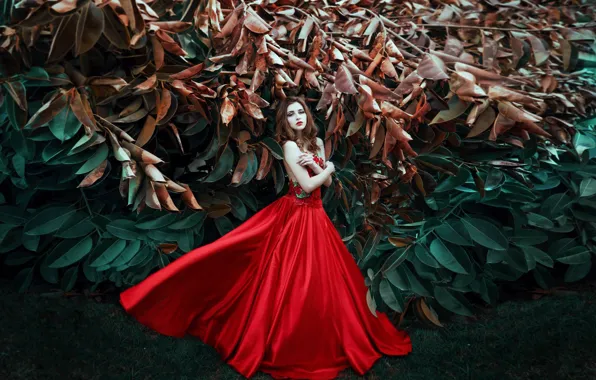 Picture trees, pose, red dress, Tahira Garcia