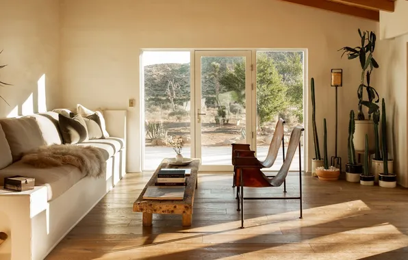 Design, style, room, Villa, interior, chairs, cacti, America