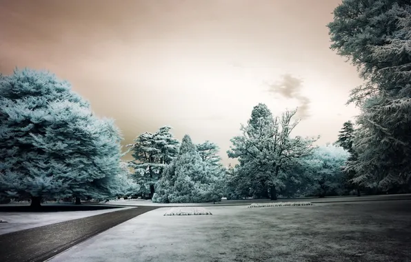 Picture the city, Park, color