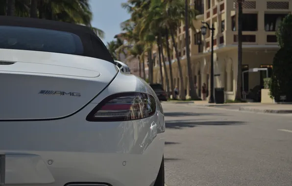 Picture beach, sls, amg, Mercedes-benz, florida, palm