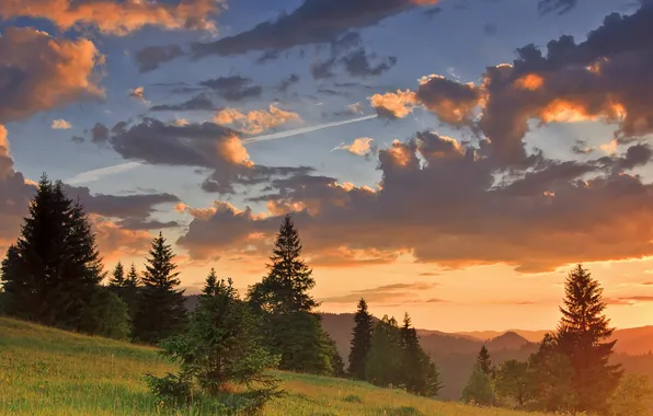 Picture clouds, trees, mountains, dawn