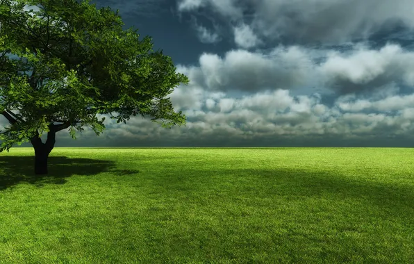 Picture the sky, clouds, tree, glade, shadow