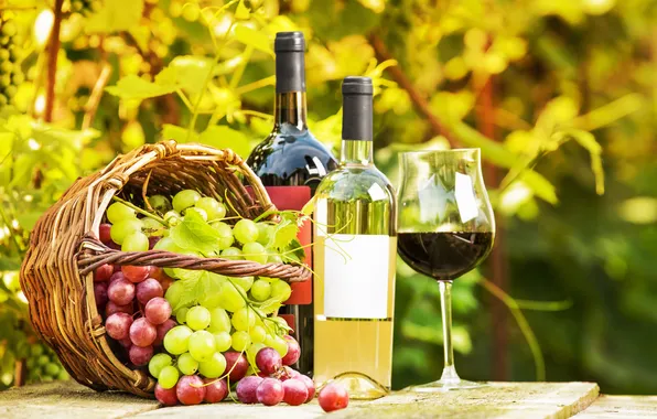 Greens, table, wine, basket, glass, bottle, garden, grapes