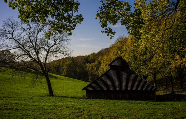 Autumn, trees, Germany, house, Germany, North Rhine-Westphalia, North Rhine-Westphalia, Bergisches Land