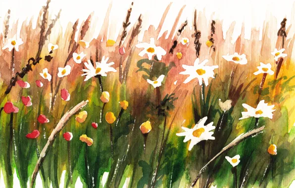 Summer, style, background, picture, watercolor