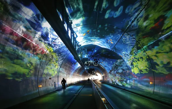 France, Lyon, Rhône-Alpes, tunnel Croix Rousse
