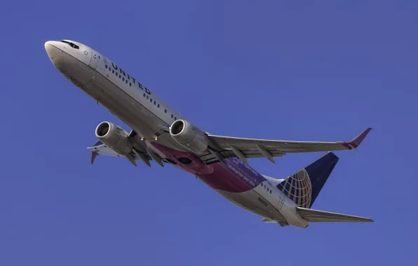 The plane, the rise, a passenger plane