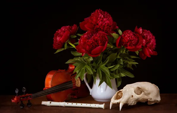 Picture violin, skull, peonies, the flute