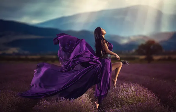 Field, purple, girl, dress, lavender