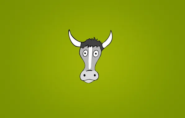 Picture animal, cow, minimalism, head, horns, eyed, green background
