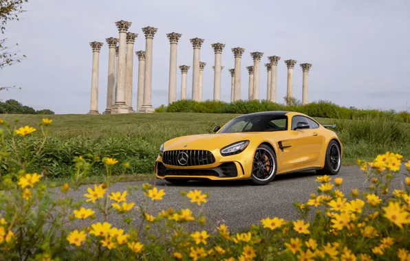 Mercedes-Benz, AMG, GT R, 2020