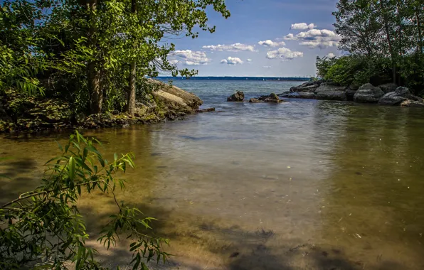 Picture the sky, clouds, trees, lake, stones, backwater