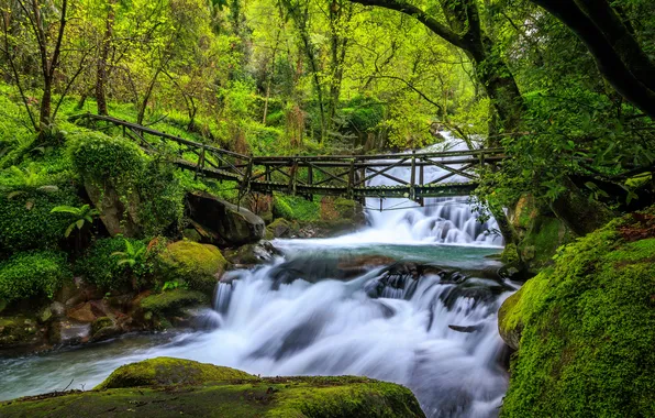 Forest, river, Portugal, waterfalls, the bridge, cascade