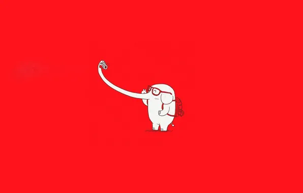 Glasses, the camera, Elephant, backpack, red background