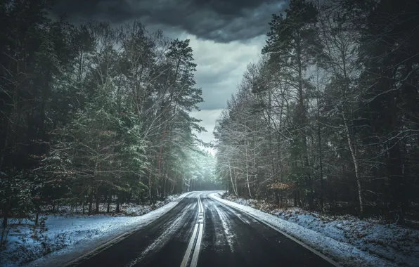 Winter, road, forest, snow, clouds, highway, pine