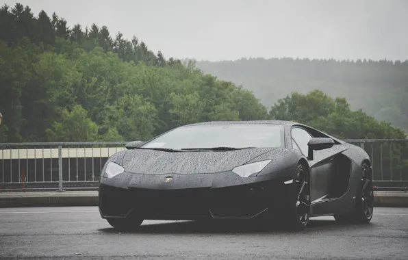 Black, cars, lambo, matte black, matte, avenator