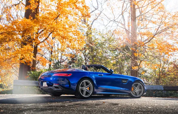Roadster, Mercedes-Benz, side view, AMG, 2018, GT C