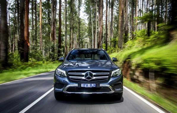 Picture Mercedes-Benz, SUV, Mercedes, X253, GLC-Class