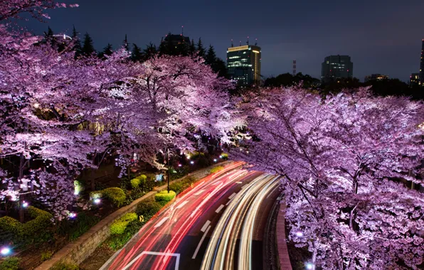 Road, the sky, light, trees, night, the city, lights, movement