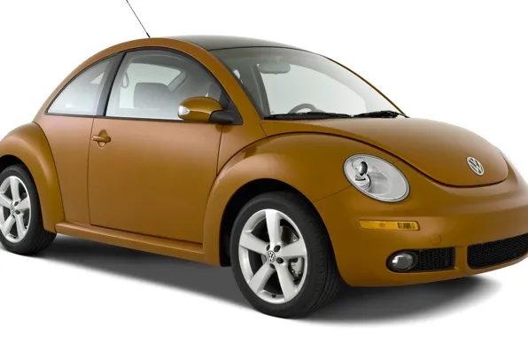 Beetle, vector, Volkswagen