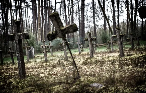 Background, crosses, cemetery